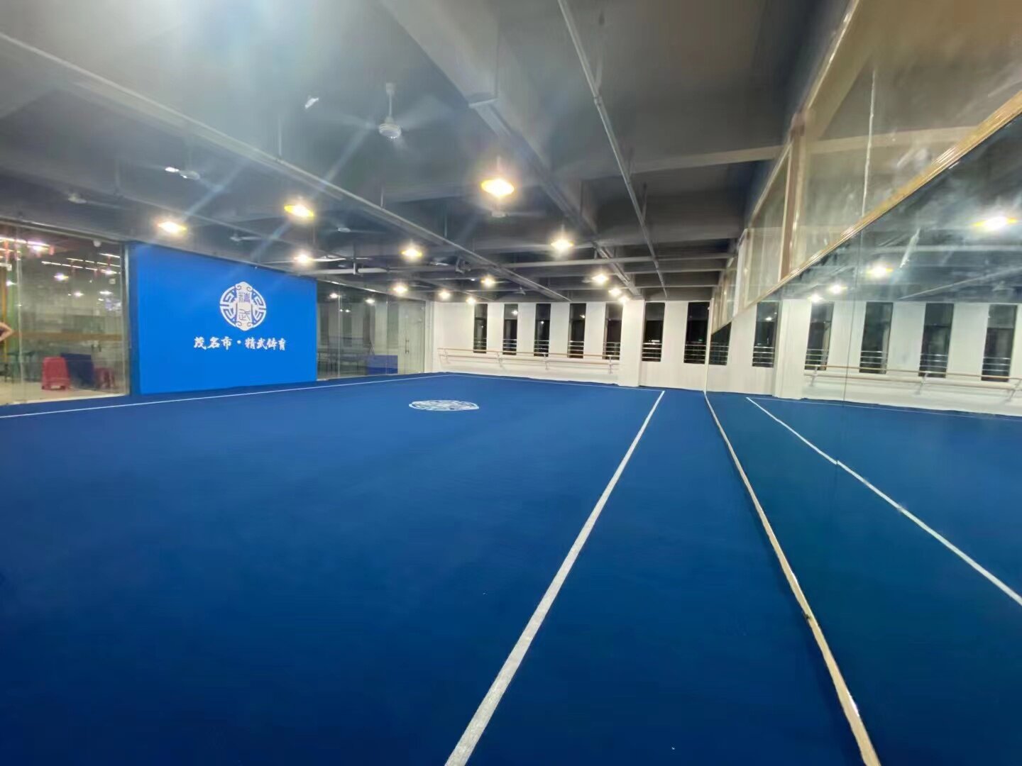 定制比赛场地毛毯武术啦啦操体操舞蹈垫毛毯卷垫pvc卷垫地毯腈纶