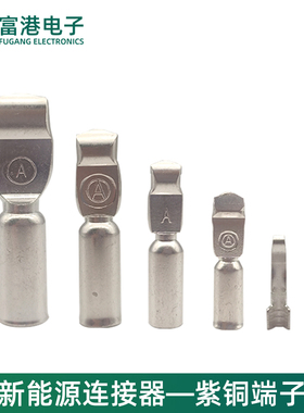 压线接线端子插头内部端子紫铜镀银 30A/40A 50A/120A/175A/350A