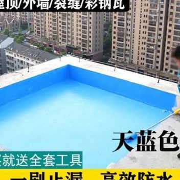 厂销防水胶补漏屋顶防水涂料补漏王大面积楼顶工程专用裂缝补漏材