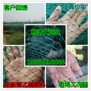 户外家禽养殖网养鸡网山鸡网孔雀网爬藤网菜园网防鸟网渔网鱼网