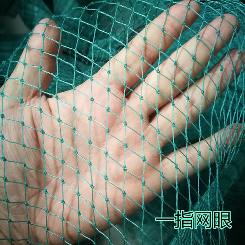 【全网低价】防鸟网养殖网