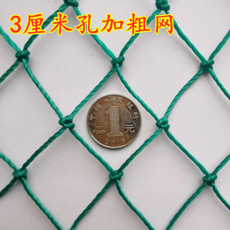 户外加粗养殖网防鸟网围栏网养鸡网天网养鸟网3指网3厘米孔尼龙网
