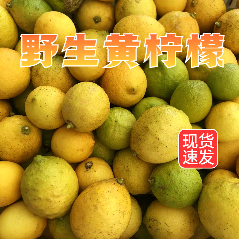 安岳尤克力野生新鲜柠檬农家自产尝鲜价不打蜡不催熟包邮到家 - 淘宝联盟商品