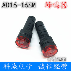 AD16-16SM còi báo động âm thanh và ánh sáng đèn flash báo động âm thanh ngắt quãng 12V 24V 220V