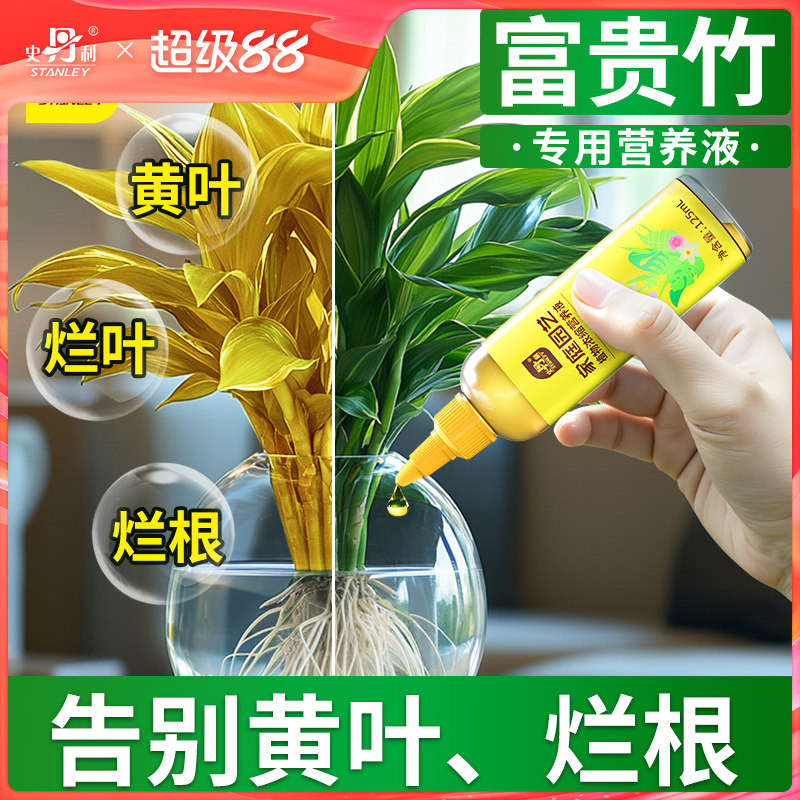 史丹利富贵竹水培专用营养液治叶子发黄水养节节高通用型防黄叶