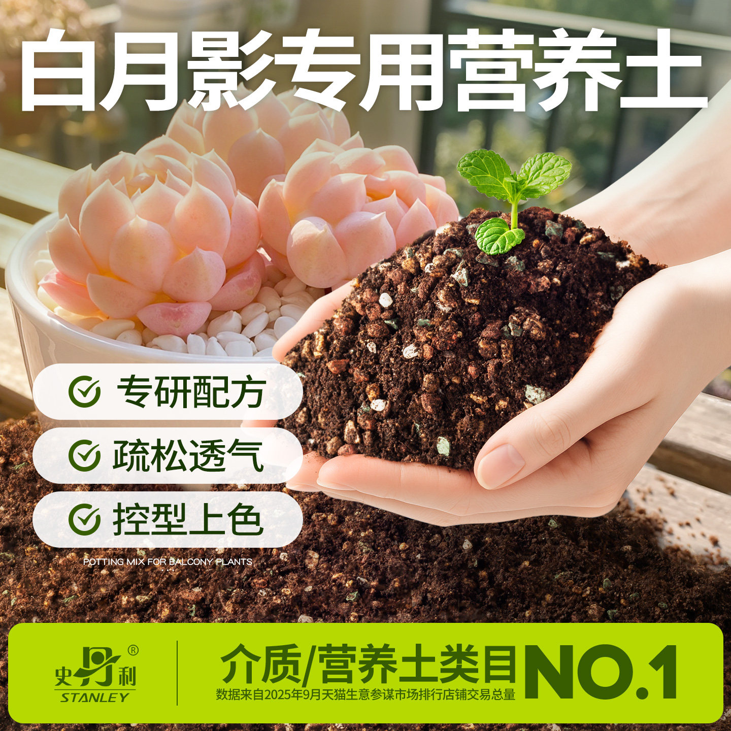 史丹利白月影多肉土专用颗粒土营养土种植泥炭土盆栽叶插营养土壤,鲜花速递/花卉仿真/绿植园艺,介质/营养土,淘宝优惠券,粉丝福利购,淘宝优惠卷