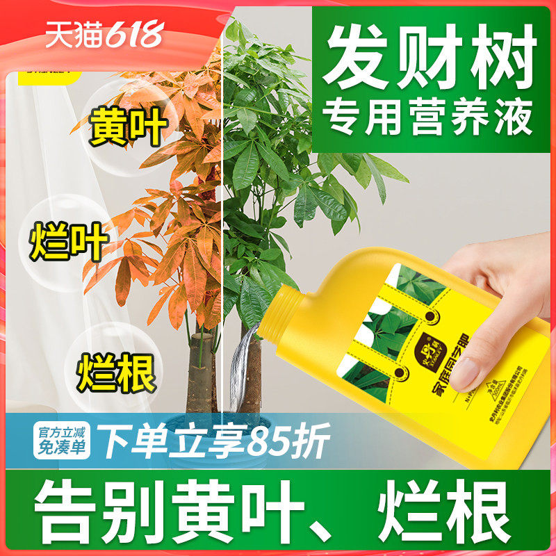 史丹利发财树营养液肥料专用肥治黄叶枯叶烂根药室内盆栽植物通用