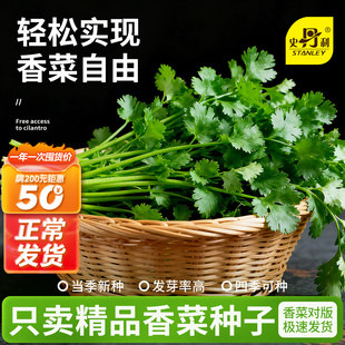 史丹利四季香菜种子芫荽阳台种菜秋冬蔬菜盆栽种籽孑菜籽籽种大全