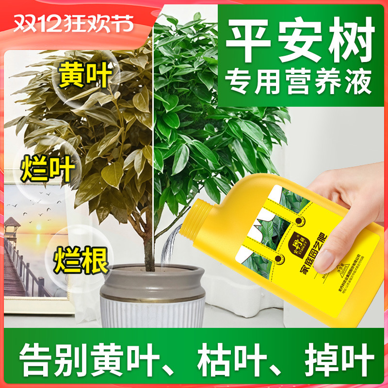 平安树专用肥告别黄叶