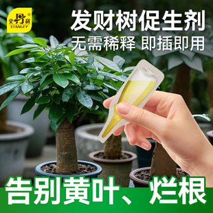 史丹利发财树专用肥营养液植物黄叶烂根再生盆栽花剂有机复合肥料