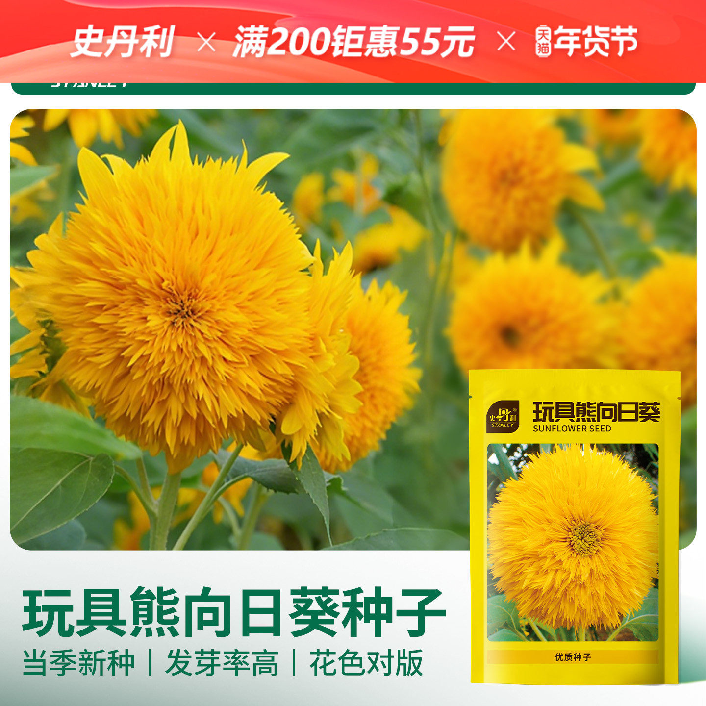 史丹利玩具熊向日葵种子室内外盆栽庭院阳台四季种植观赏花卉花籽,鲜花速递/花卉仿真/绿植园艺,家庭园艺种子,淘宝优惠券,粉丝福利购,淘宝优惠卷