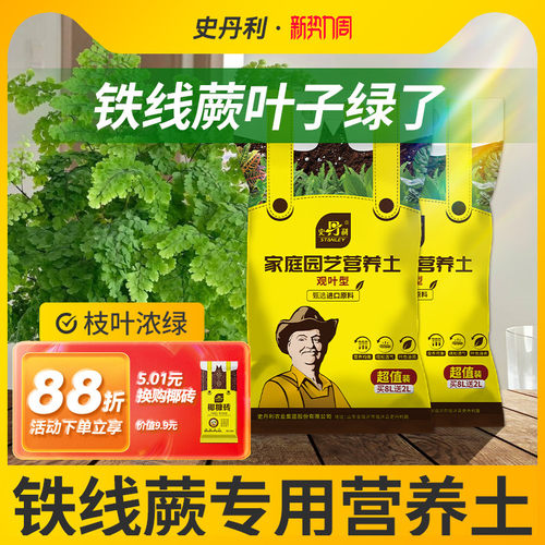 史丹利观叶专用营养土