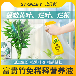 史丹利养富贵竹专用营养液免稀释专治黄叶生根转运竹龙竹液体肥料