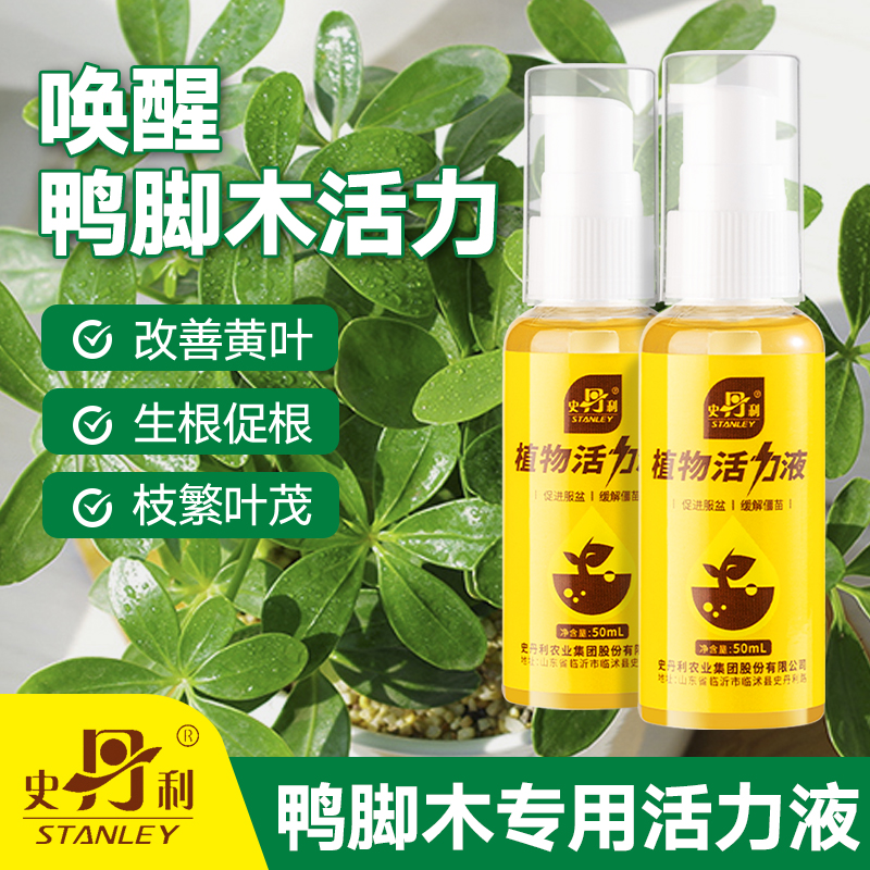 史丹利鸭脚木肥料活力素营养液花肥鸭掌木专用肥绿叶盆栽液体肥料