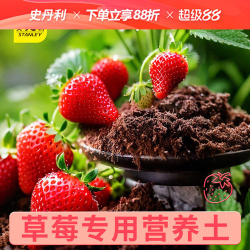 史丹利草莓专用营养土盆栽草莓