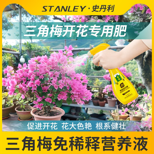 三角梅开花专用肥花开满盆