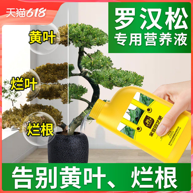 史丹利罗汉松肥料专用肥营养液盆栽泰山松雀舌四季松树盆景复合肥