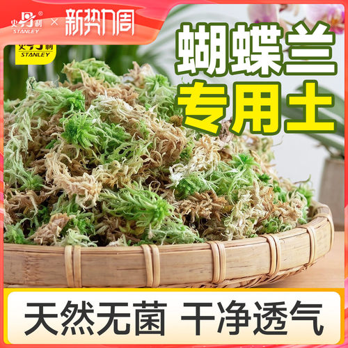 史丹利蝴蝶兰专用土水苔干苔藓