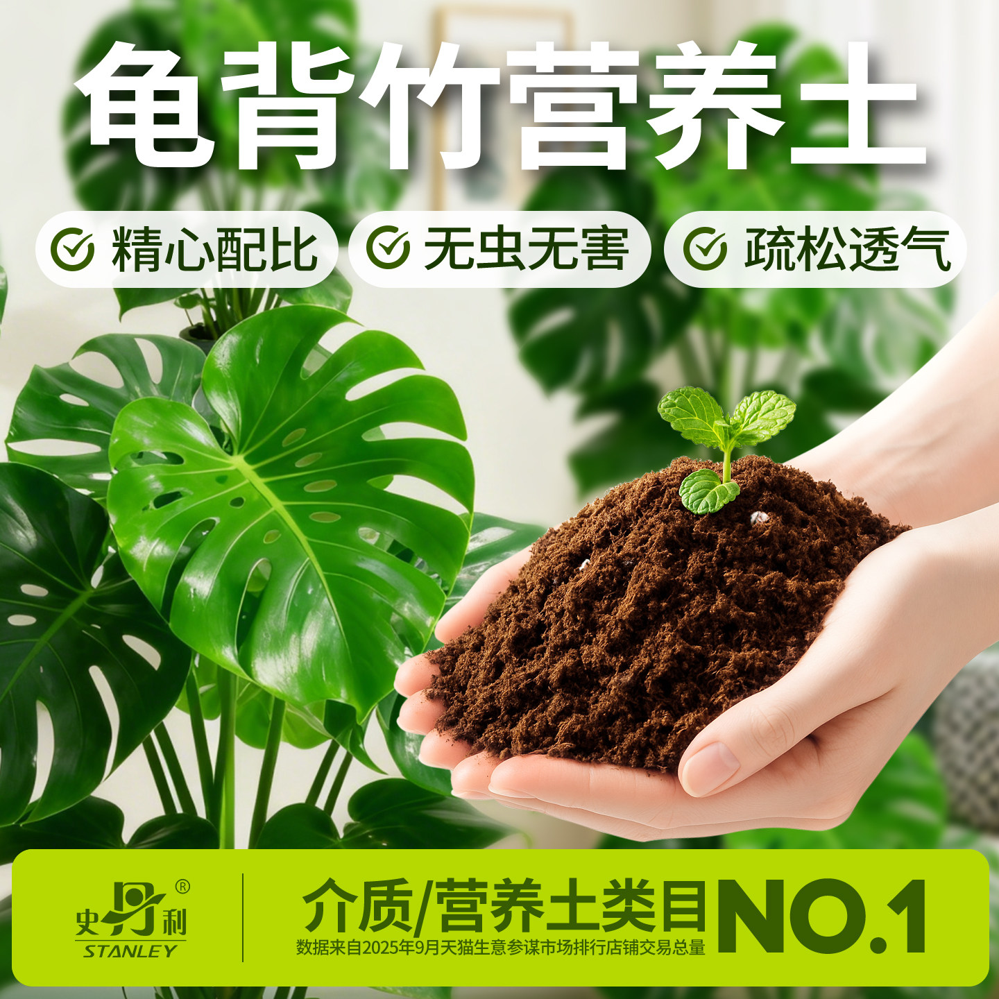 史丹利龟背竹营养土富含有机质图片