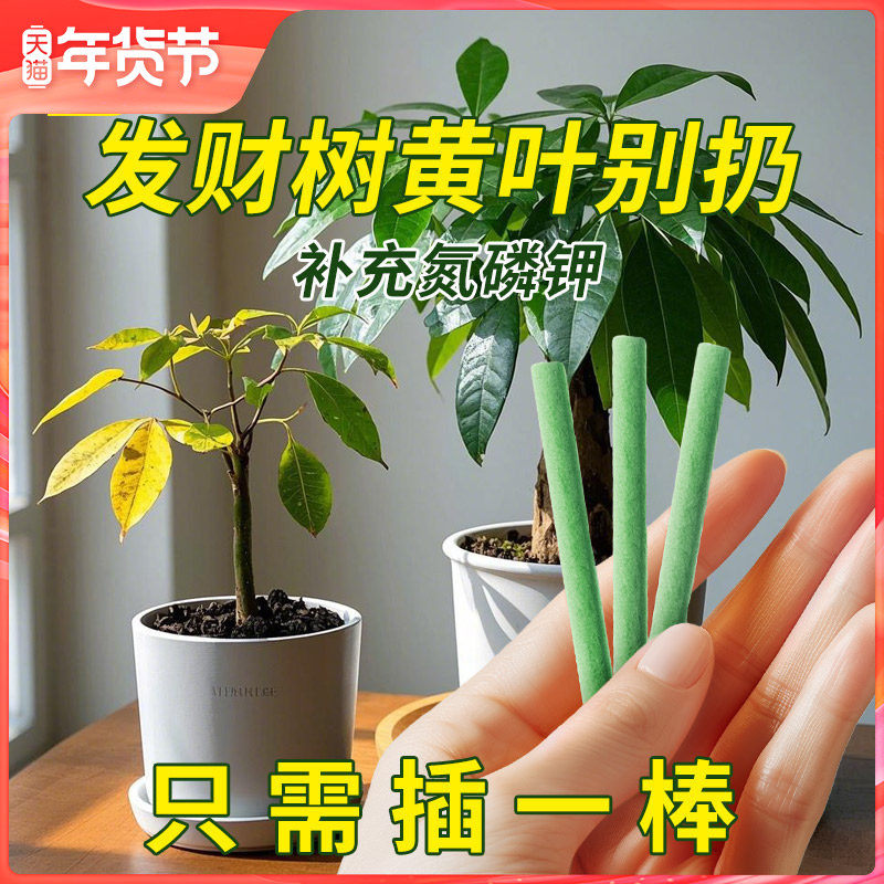 史丹利植物缓释肥营养棒养花通用型花肥家用盆栽料发财树花卉绿植,鲜花速递/花卉仿真/绿植园艺,家庭园艺肥料,淘宝优惠券,粉丝福利购,淘宝优惠卷