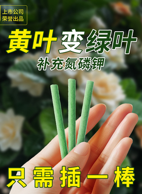 史丹利植物营养棒缓释肥花肥家用盆栽通用型养花复合花卉多肉肥料