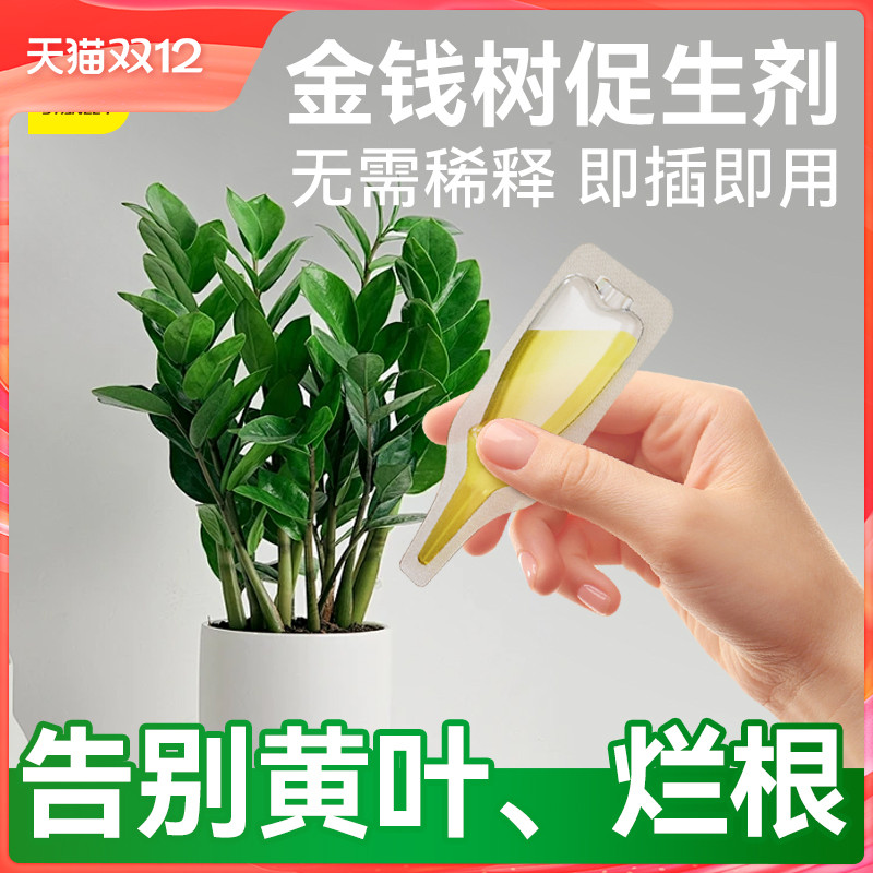 史丹利金钱树专用肥营养液