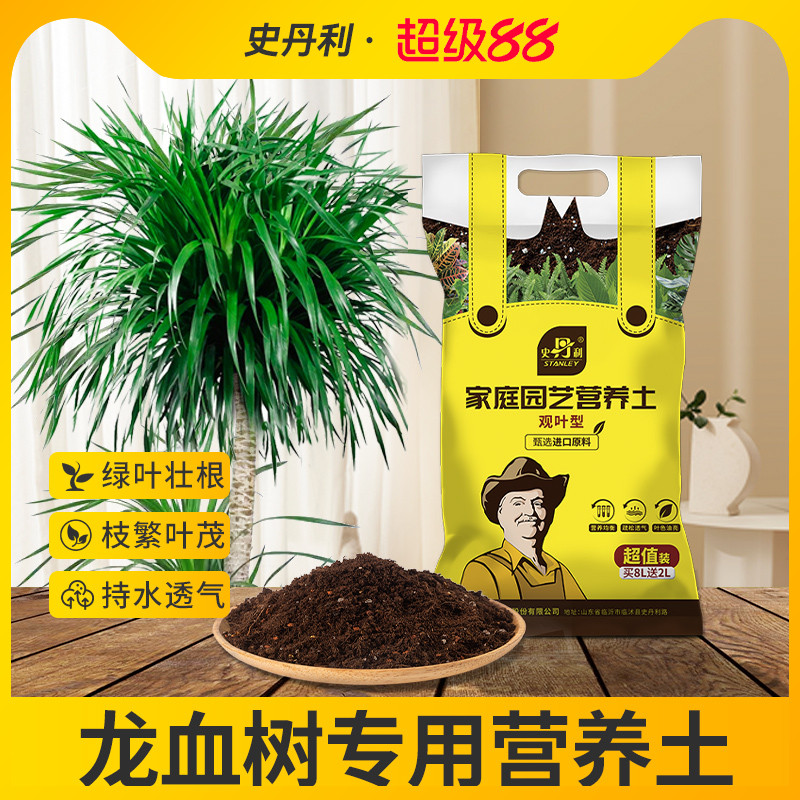 龙血树专用土壤治疗黄叶