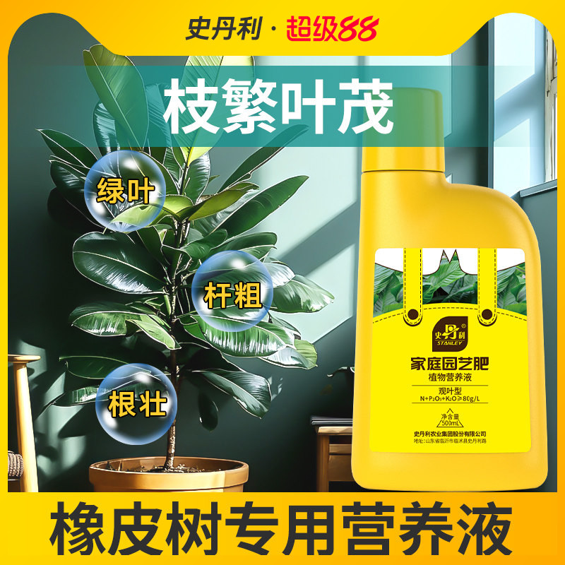 橡皮树专用肥料营养液室内图片
