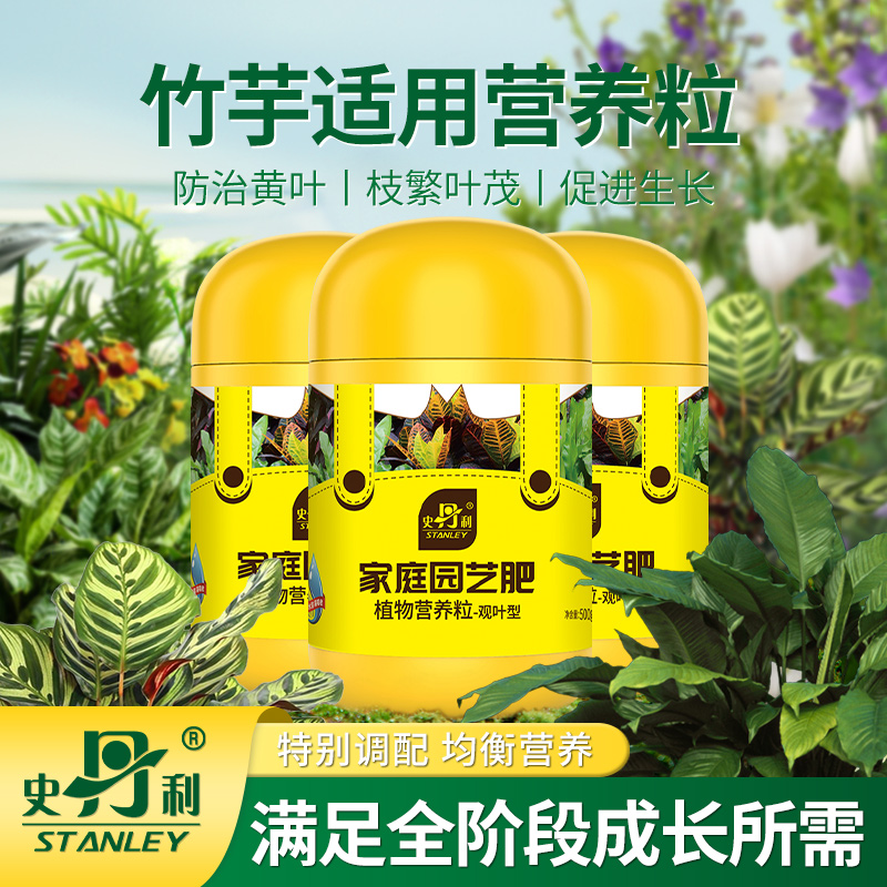 竹芋肥料专用肥青苹果竹芋有机肥