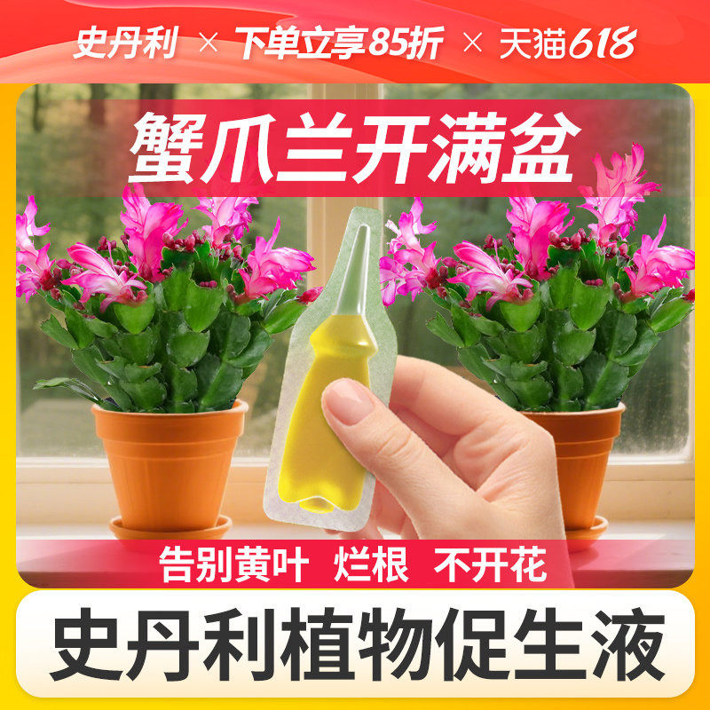 史丹利蟹爪兰专用肥料植物促生剂营养液再生开花黄叶蟹爪莲蟹脚兰