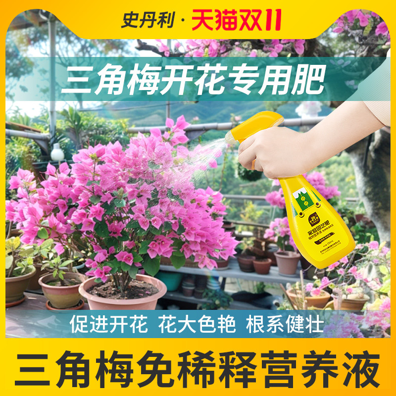三角梅开花专用肥花开满盆