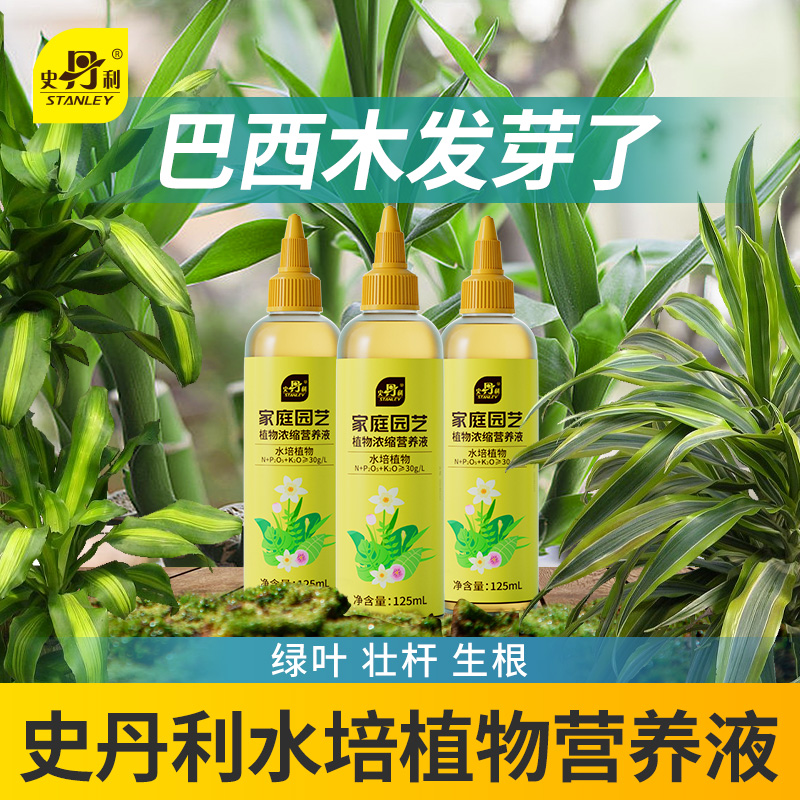 史丹利巴西木专用营养液水培