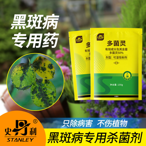 史丹利黑斑病专用特效药