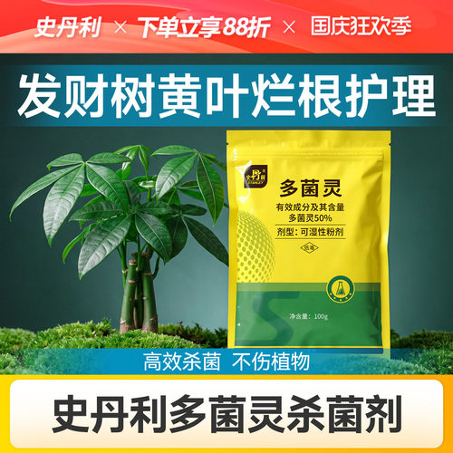 史丹利多菌灵杀菌剂发财树专用