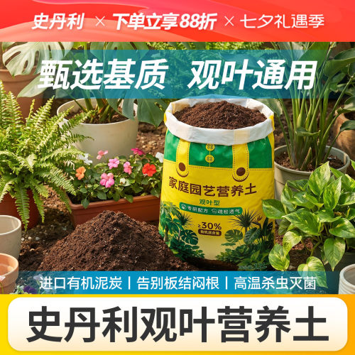 史丹利观叶植物营养土