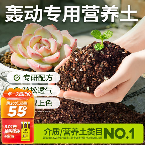 轰动专用土|告别烂根