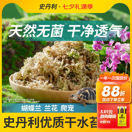 史丹利水苔蝴蝶兰专用土干苔藓