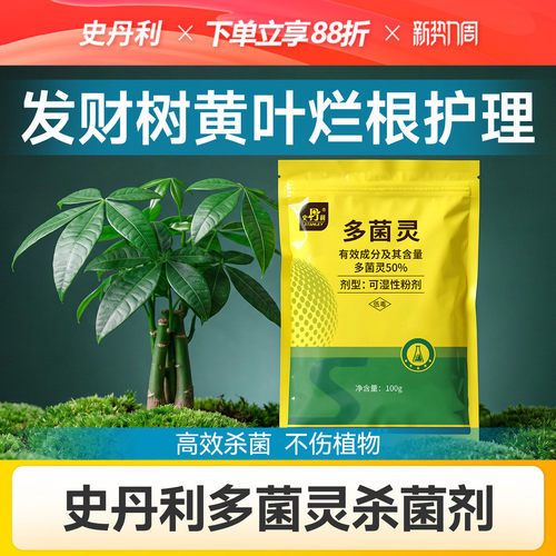 史丹利多菌灵杀菌剂发财树专用