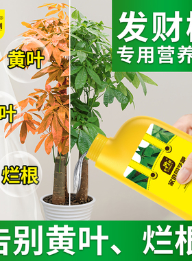 史丹利发财树营养液肥料专用肥治黄叶枯叶烂根药室内盆栽植物通用
