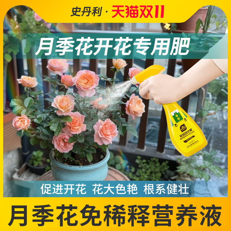 月季花专用肥花开满盆