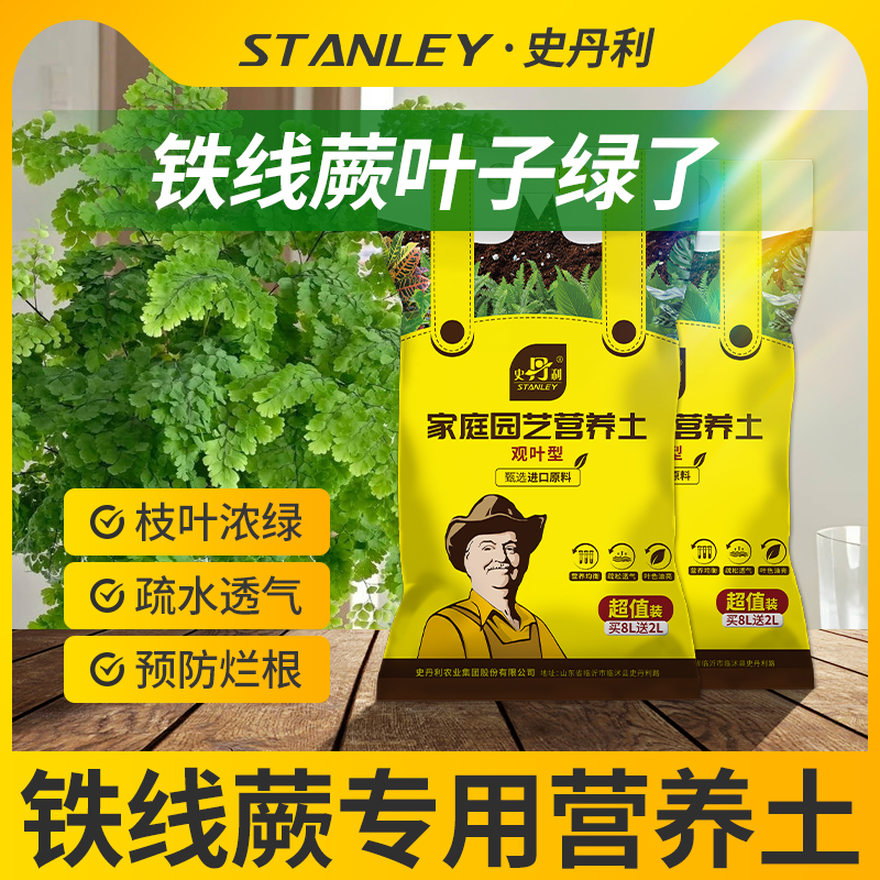 史丹利观叶专用营养土