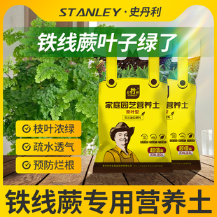 史丹利蕨类专用土蕨类植物优质土家用盆栽营养土酸性沙质土壤绿植