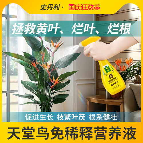 天堂鸟专用肥专治卷边黄叶