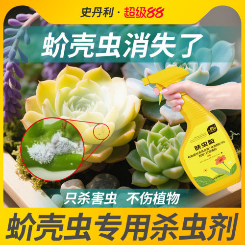 史丹利介壳虫专用杀虫剂