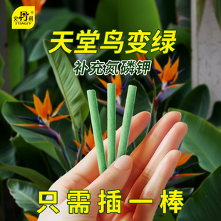 史丹利天堂鸟专用植物营养棒花肥缓释肥家用通用型肥料花卉绿植用