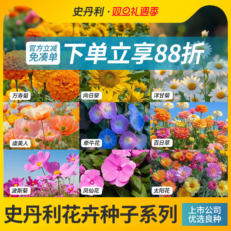 史丹利花种子四季开花大全向日葵花籽太阳花凤仙花虞美人室外易活