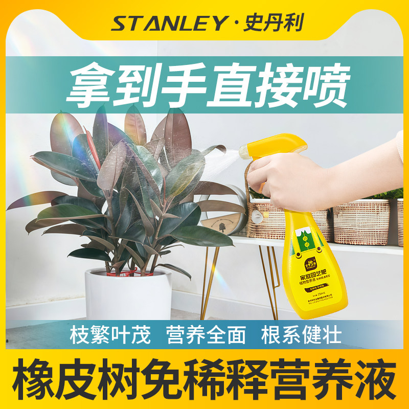 橡皮树专用肥花开满盆图片