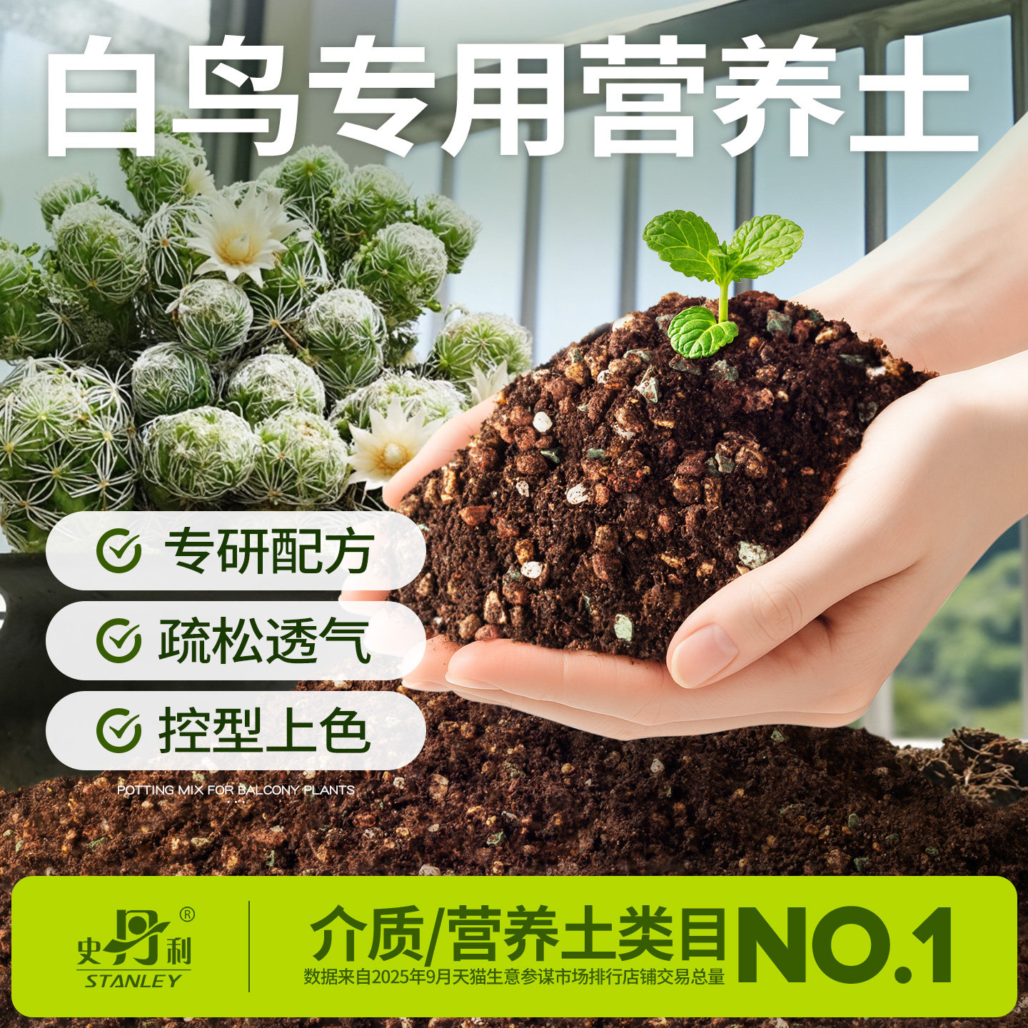 史丹利白鸟多肉土专用颗粒土营养土种植泥炭土盆栽叶插营养土土壤,鲜花速递/花卉仿真/绿植园艺,介质/营养土,淘宝优惠券,粉丝福利购,淘宝优惠卷