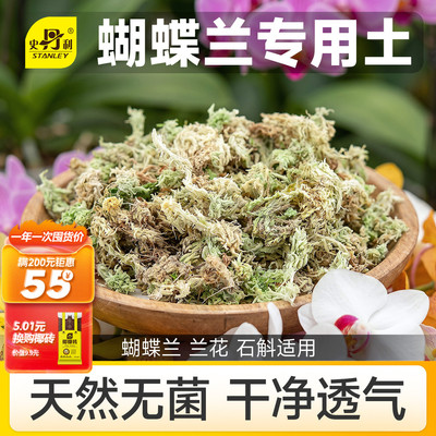 史丹利蝴蝶兰专用土水苔干苔藓
