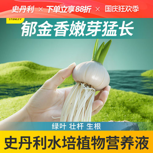 史丹利水培植物营养液郁金香